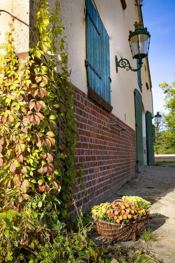 Ferienwohnung Fewo Mit Pferdeboxen, Paddock Und Weide In Der Lueneburger Heide Vierhofen Exterior foto
