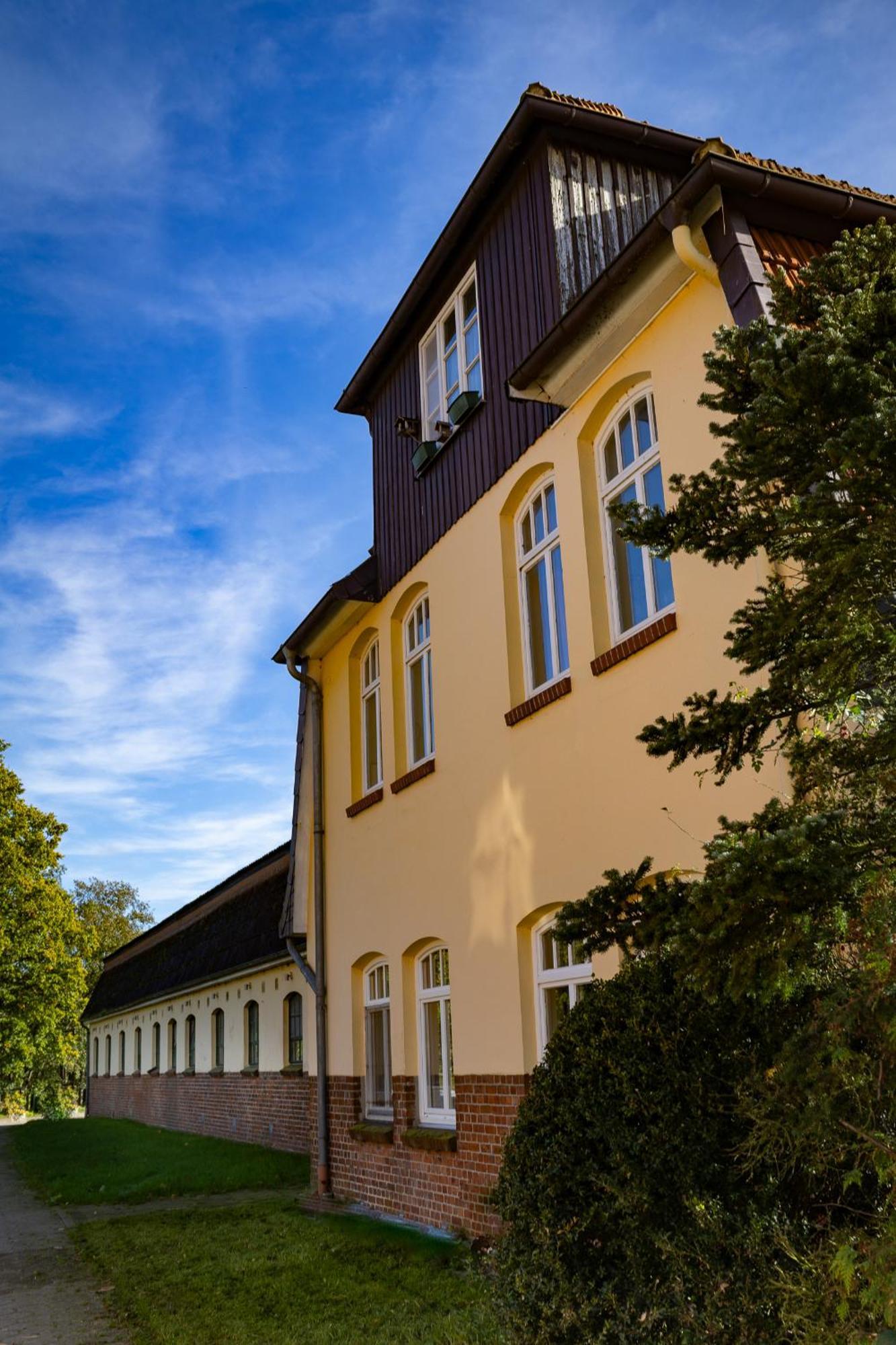 Ferienwohnung Fewo Mit Pferdeboxen, Paddock Und Weide In Der Lueneburger Heide Vierhofen Exterior foto
